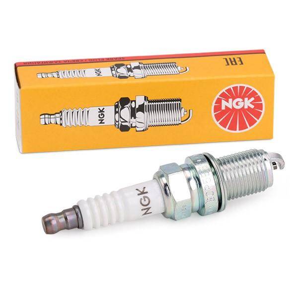 Spark Plugs NGK 21